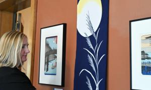 Port Colborne Museum Curator, Sarah Kaufman, installing the "Aki" collection of tenugui towels on loan from The Japan Foundation - Toronto, in the exhibit space of the Roselawn Centre, Port Colborne.