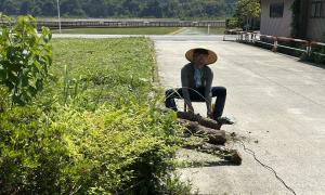 Taishi Kozawa wearing Tenugui when working in the agricultural of Nakajin Toyama, Japan.